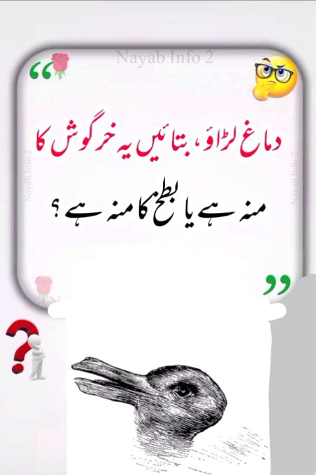 Riddles & Puzzles image