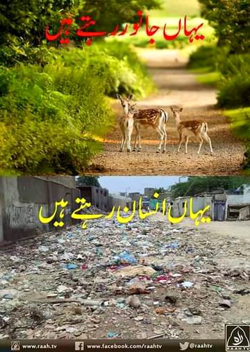 Insan or janvaroon min ab farq insan tu ashrafulmakhluqat hy