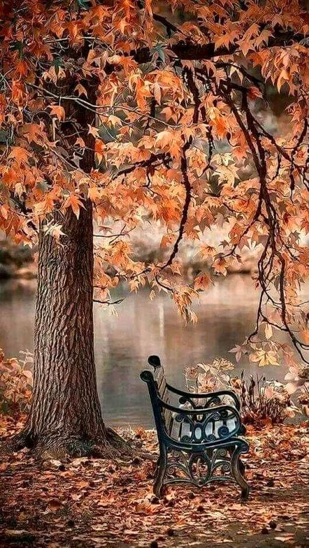Beautiful Nature image