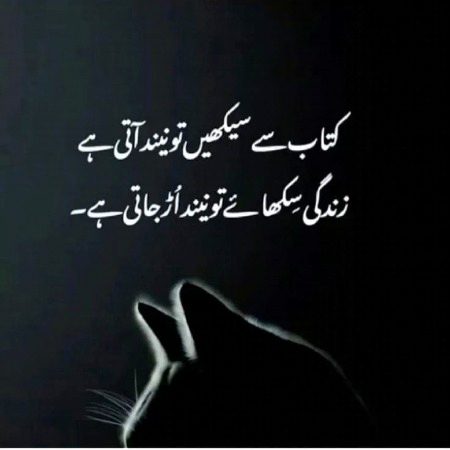 Sad Poetry image