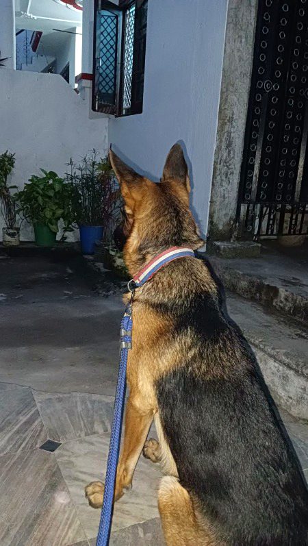 Beautiful Nature image