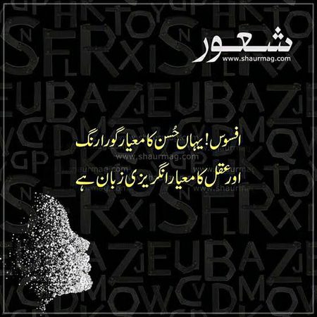 🍁Zoq_Shab🍁