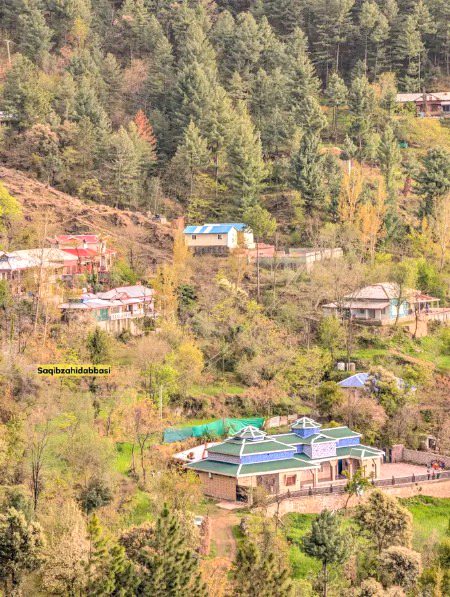 Beautiful Nature image