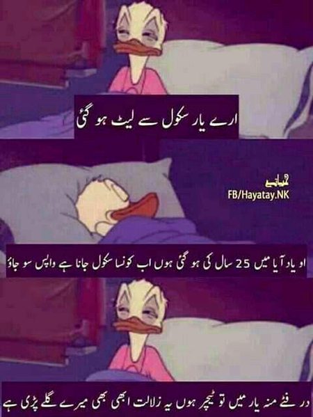 Memes & Satire image