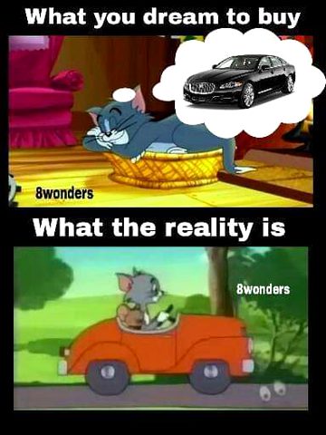 Memes & Satire image