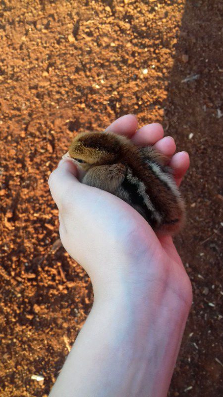 Beautiful Nature image