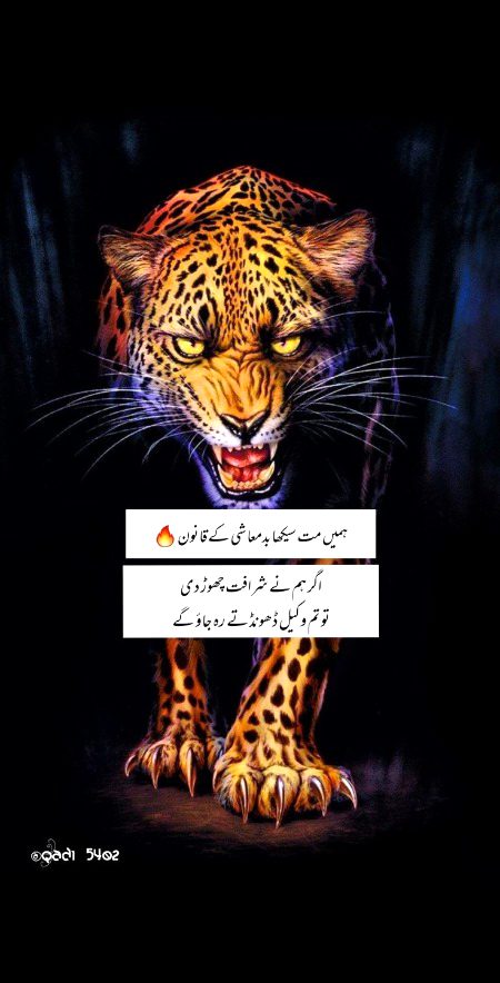 میں نے سیکھا نہیں منتیں کرنا ♠️🎭
جو خفا وہ دفعہ ۔۔ 🍂😎
 #_____ZALIMꨄ