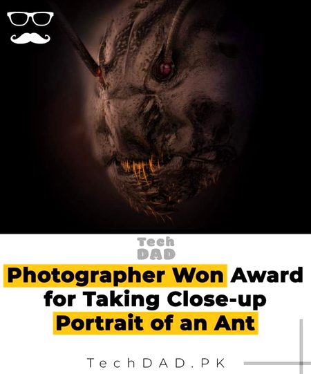 Interesting Posts image