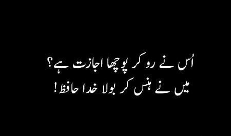 اب بھی موجود ہیں اِس دل میں وہ دلدار سے لوگ
جن کے جانے کا اگر سوچیں ____تو جاں جاتی ہے💔
میں تو حیراں ہوں کہ وحشت میں___ لگائی آواز
تجھ تلک بھی نہیں جاتی تو کہاں___ جاتی ہے
