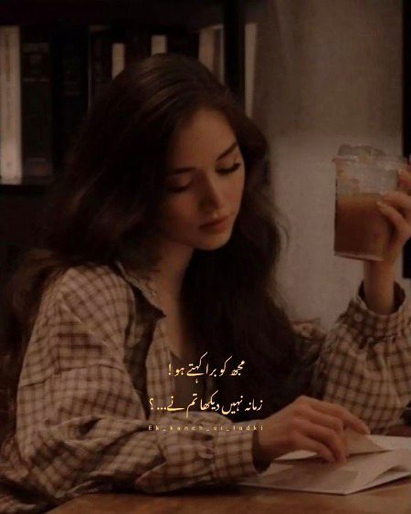 Attitude Quotes image