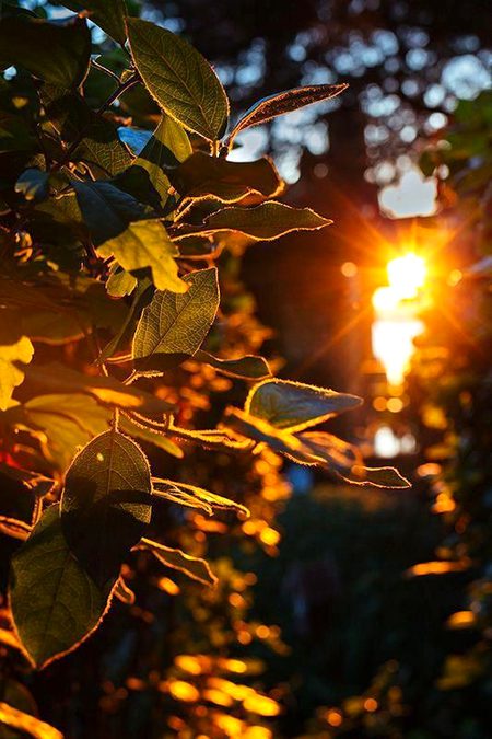 Beautiful Nature image