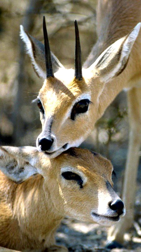 Beautiful Nature image
