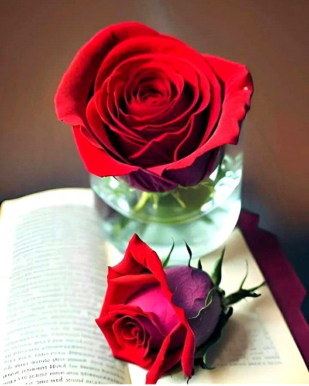 Beautiful Nature image