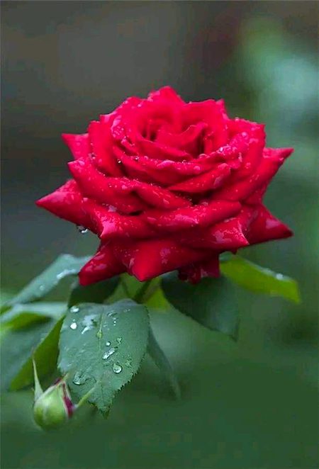 Beautiful Nature image