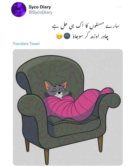 Memes & Satire image