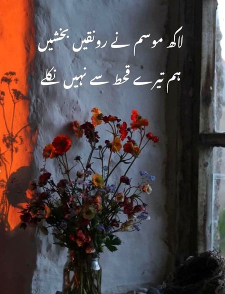 lk krdi mny sb