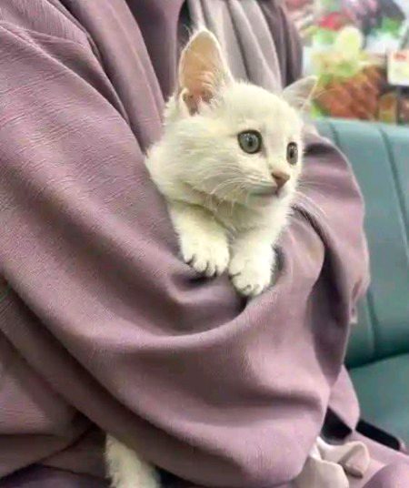 تم میرے دل کو پسند آئے تھے ورنہ ۔۔۔۔۔
وقت گزاری کے لیے تو لاکھوں ملتے ہیں 
❣️❣️❣️🥀🥀