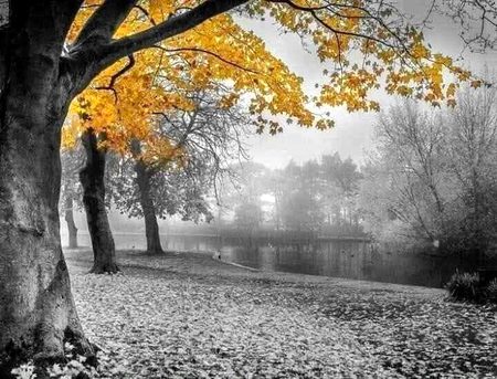 Beautiful Nature image