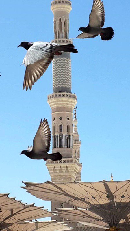 Beautiful Structures image