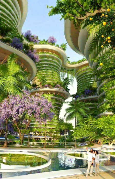 Beautiful Nature image