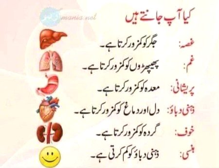 Interesting Posts image