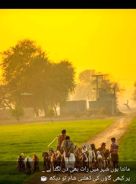 Beautiful Nature image