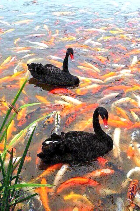 Beautiful Nature image