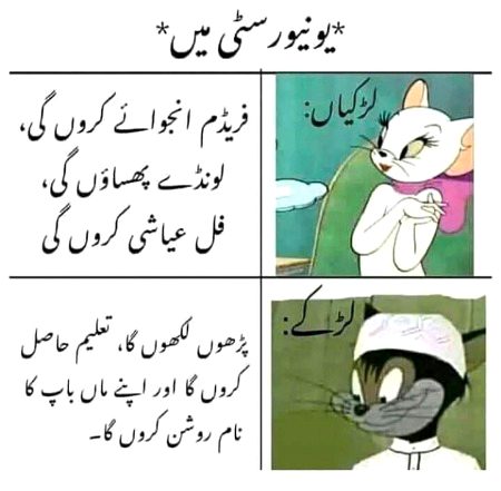 Memes & Satire image