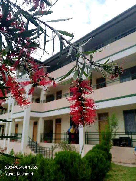 Beautiful Nature image