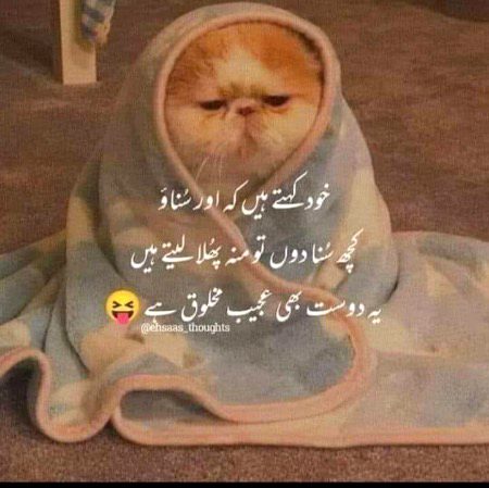 Jokes image