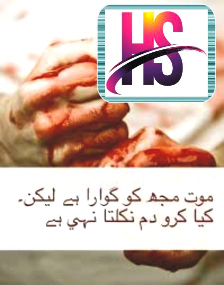 meri zat se jis ko b shikyat maaf krna aj rt jana mujhe wapsi ka pata nh Bye Hs