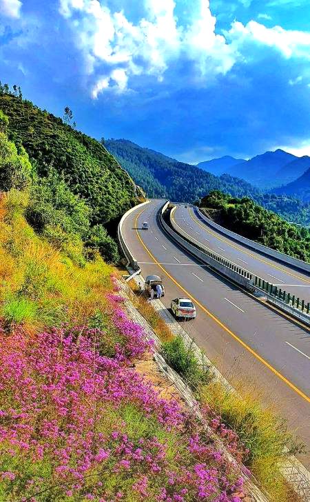Beautiful Nature image