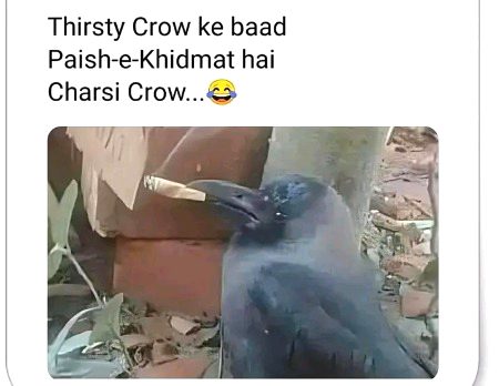 Memes & Satire image