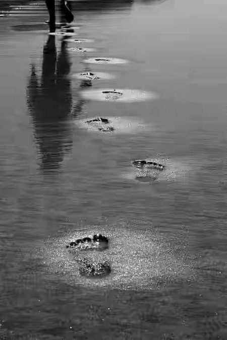 میں ٹوٹ گیا ہوں اب بکھرتا دیکھو
میرے دل کا آشیاں اجڑتا دیکھو