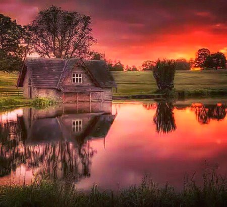Beautiful Nature image