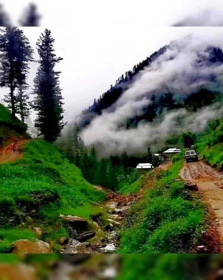 Beautiful Nature image
