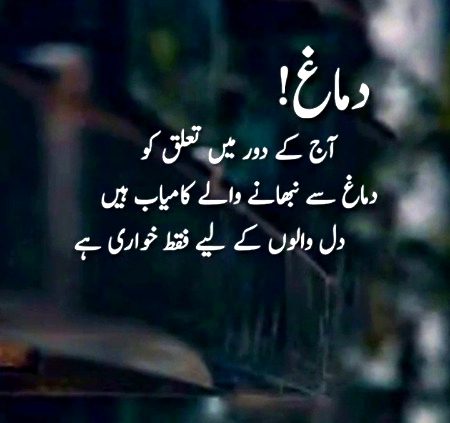 Apnay siwa koi apna nhi hota🆗apni qdar kijiye✅