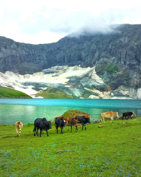 Beautiful Nature image