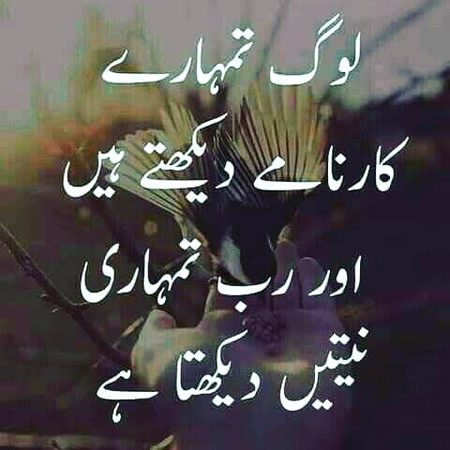 Motivational Quotes image