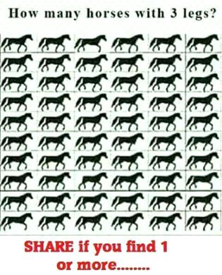 Riddles & Puzzles image