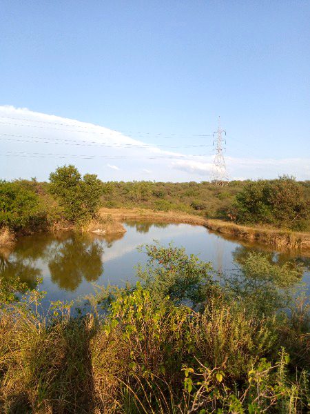 Beautiful Nature image