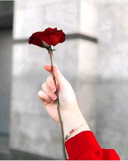 🌷🌷Phoolu jasy han ham❤❤tUm jb.bi dekho gya mahak jao gya🌷🌷😍