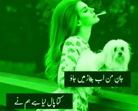 Attitude Poetry image