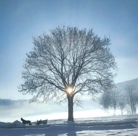 Beautiful Nature image