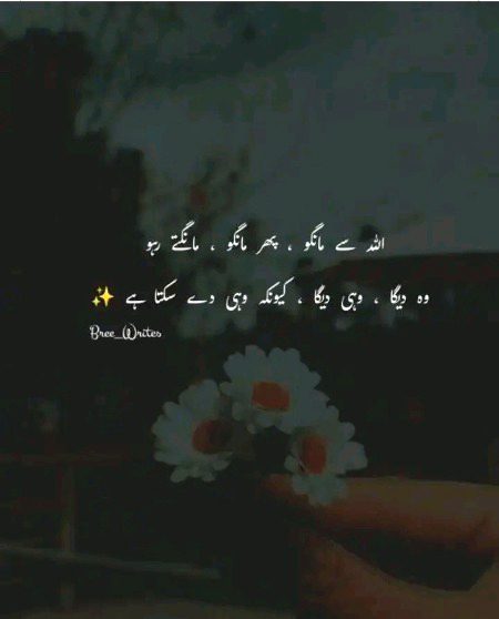 Motivational Quotes image