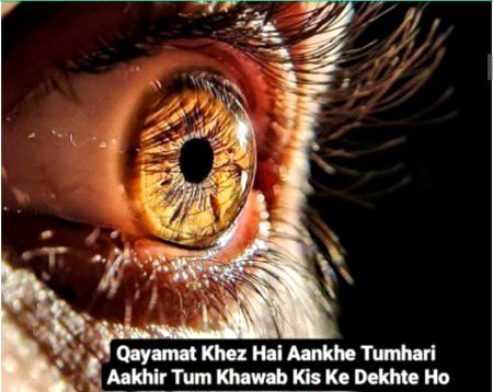 Khuwab kis k dekhte Ho