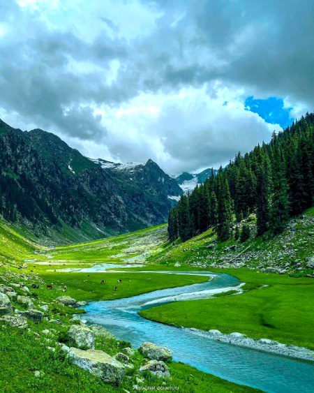 Beautiful Nature image