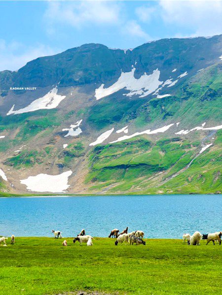 Beautiful Nature image