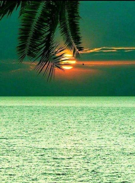 Beautiful Nature image