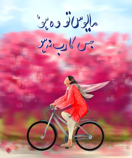 🖤💜🧡🖤💜🧡🖤💜🧡